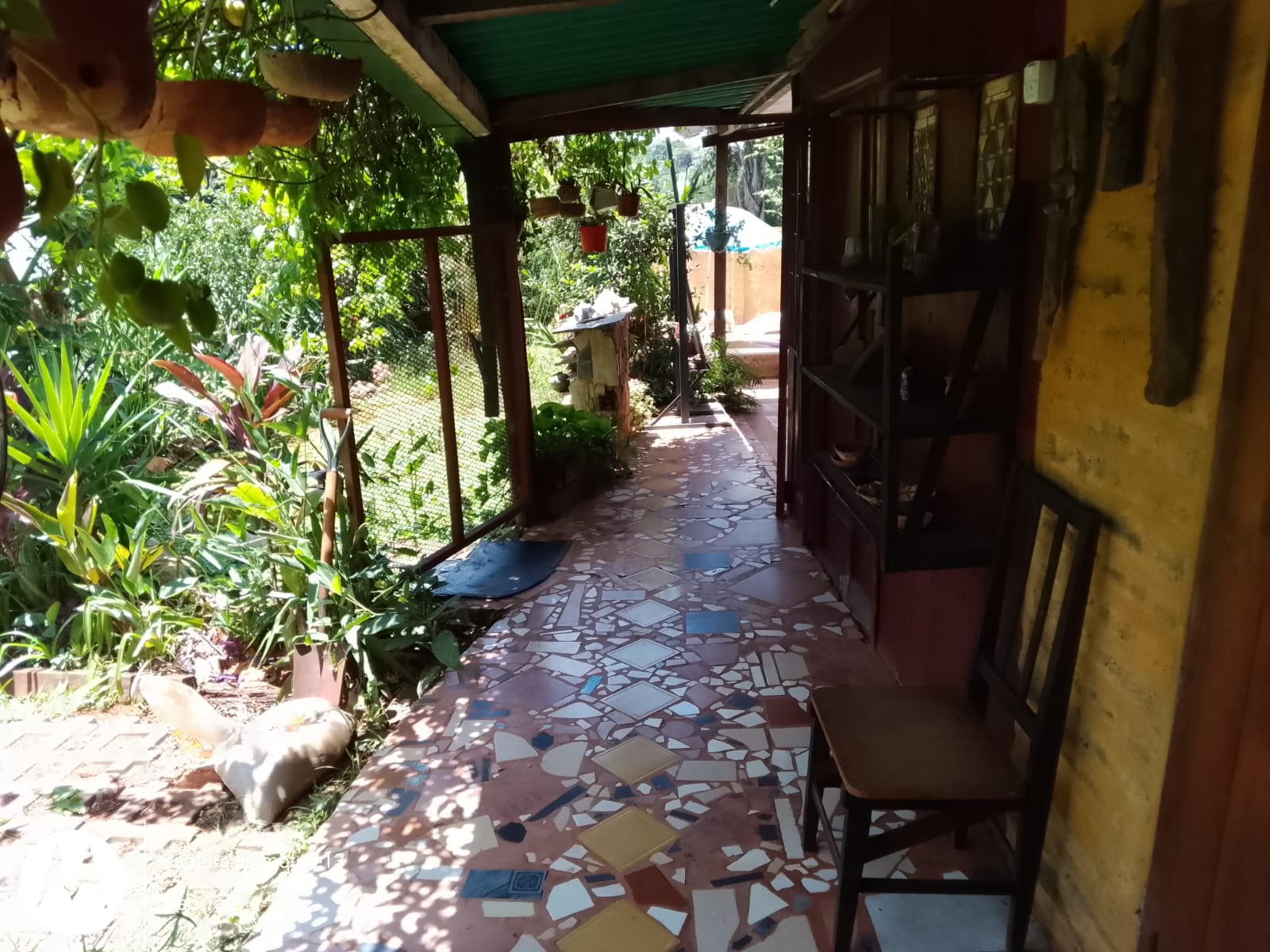 IMG-20240113-WA0020