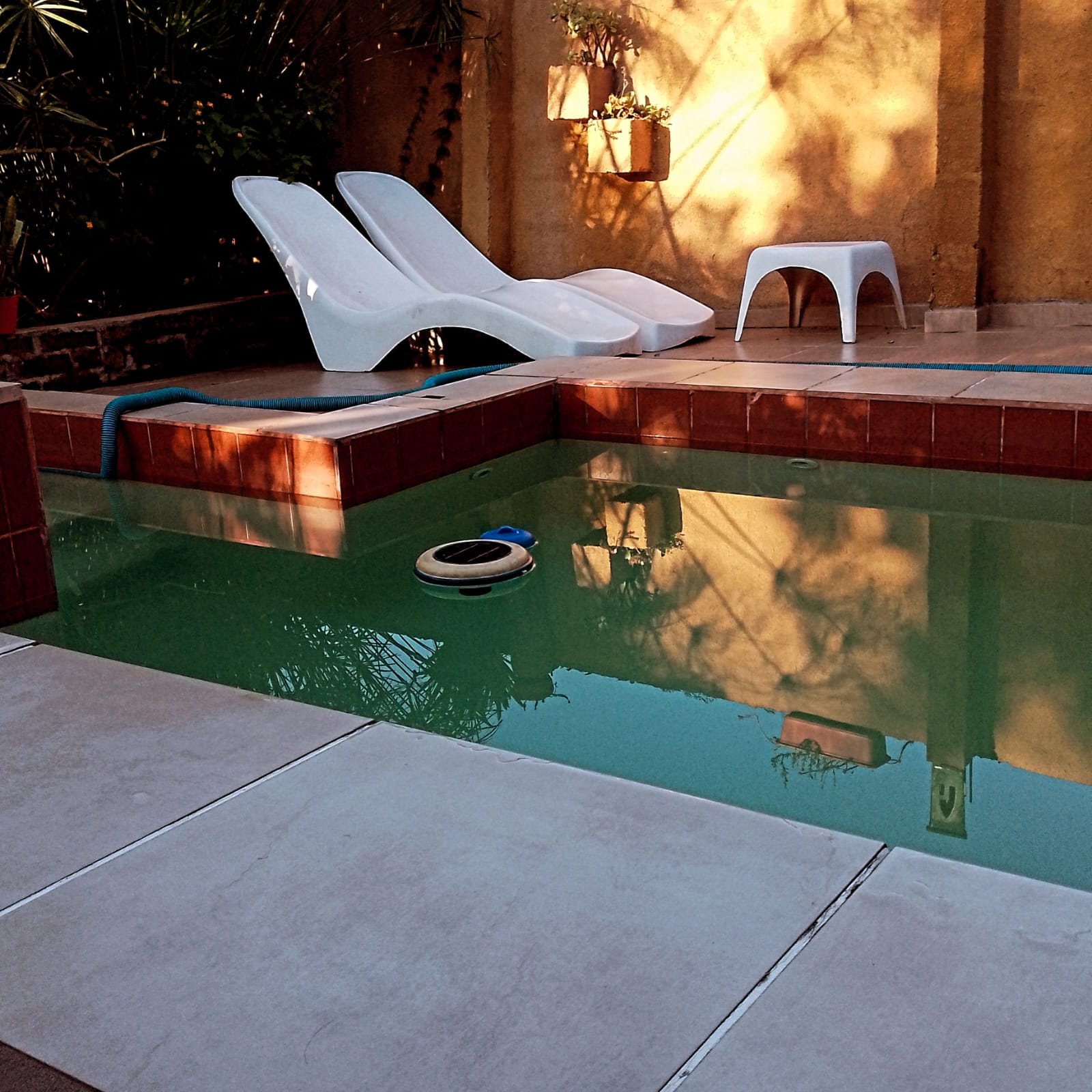IMG-20240127-WA0044-1